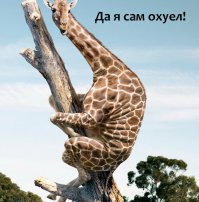 НЕ сдержался !!! Проверяйте информацию, а не введитесь на слухи !