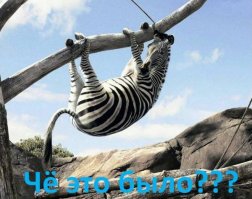 НЕ сдержался !!! Проверяйте информацию, а не введитесь на слухи !