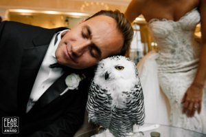 Фотка вообще "не в настроение всем другим"
Сравните...
зы Юмор приемлю, кроме "Шарли Эбдо"....