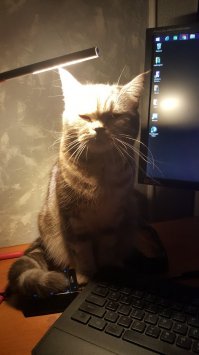 Как выглядит справедливость