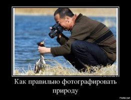 Лучший био-фотограф года 2017