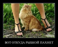 С отключением горячей воды каждый справляется по-своему
