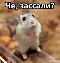 НЕ сдержался !!! Проверяйте информацию, а не введитесь на слухи !