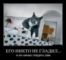 Очередная порция картинок с подписями