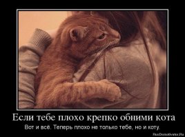 Очередная порция картинок с подписями