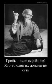 Что это за гриб?