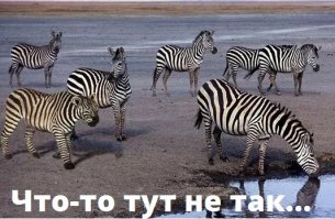 Недоверием сквозит сея подборка. Или так только кажется?