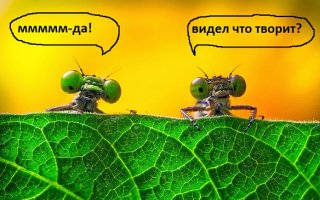 Слишком гибкая девушка Лейлани Франко