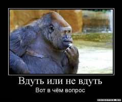 Слишком гибкая девушка Лейлани Франко