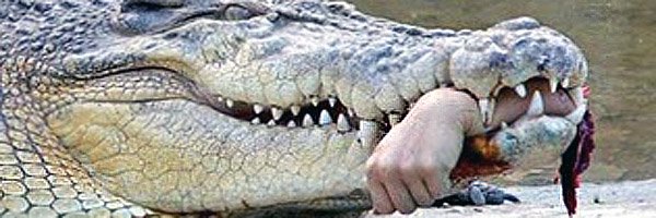 Другая сторона природы: 13 жутких фотографий