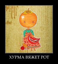 Жизнь меня к такому не готовила