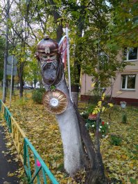 Вот только вчера сфоткала