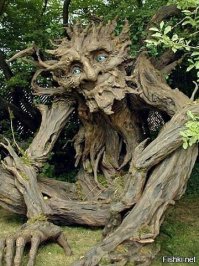 Парень бензопилой превратил прогнивший пень в ведро со льющейся водой