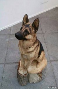 Парень бензопилой превратил прогнивший пень в ведро со льющейся водой