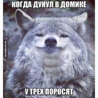 Мужчина проснулся утром и увидел, что весь его дом был в дырах, в которых лежали желуди