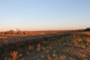 Подборка любительских фотографий о жизни