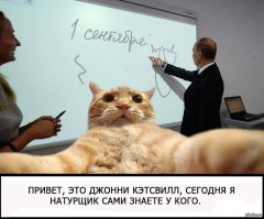 Словили момент: 30 редких фото, в которые сложно поверить
