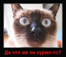 Анонс прямого эфира на Fishki.net. Скрытые возможности человеческого мозга на Земле и в космосе