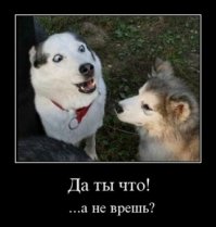 От КС-1 до БТР-80