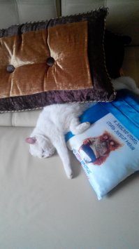 Очередная порция картинок с подписями