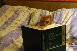 Они не знают, что такое снобизм, конформизм и Эффект Даннинга   Крюгера! 
П.с. Люблю посты по эппл