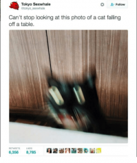 Очередная порция картинок с подписями