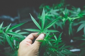 Что такое Астрал?