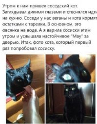 Кот по ходу решил переехать)