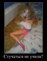 Фотоподборка за 20.10.2017