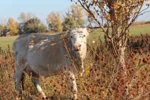 Подборка любительских фотографий о жизни