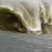 Фотоподборка за 20.10.2017