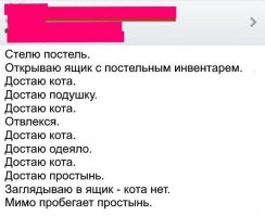 22 потрясающих котов, которые сломали систему