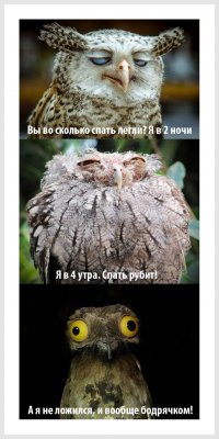 Неудачные фото животных