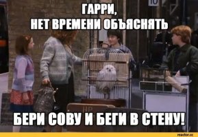 18 самых волшебных фотографий с ежегодного фестиваля Гарри Поттера