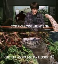 18 самых волшебных фотографий с ежегодного фестиваля Гарри Поттера