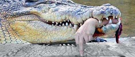 Другая сторона природы: 13 жутких фотографий