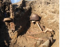 Он принял в сердце вражий металл,

Чтобы ты родился и рос,

И чтоб того, что он испытал,

Тебе испытать не пришлось...

Послушай, о чём грустят деревца

В парке, от скорби немом,

Что вечный огонь

На могиле бойца

Стал сердца

Вечным огнём.

(С.Н. Пархоменко)