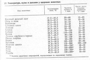 Температура воды должна быть не менее 38-39 С. Это температура тела кошки. Тогда плавание для неё будет удовольствием...