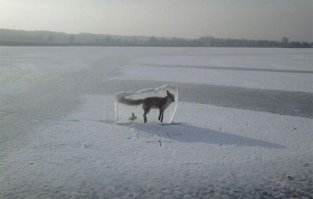 10 ролей, которые никто в Голливуде не хотел играть (11 фото)