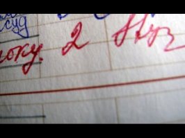 Пауки "жрут размазанных по лобовому стеклу мух"?
Он это серьёзно?