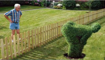 Странные соседи - хорошо, что не ваши!