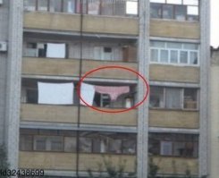 Странные соседи - хорошо, что не ваши!