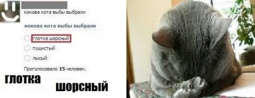 То есть слово "кокова" недоумения не вызвало...