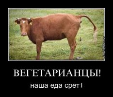 Веганизм головного мозга. Этим детям грозит опасность