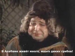 25-летняя студентка месяц питалась грибами и ягодами, блуждая одна в лесу