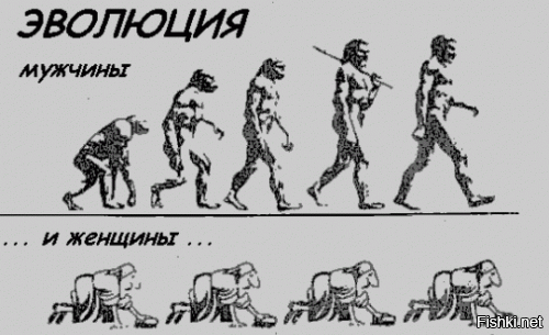 Об эволюции человека понятным языком