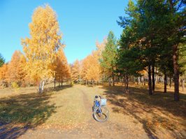 Омск.Парк.Мой лисапед )