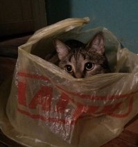 Мой. Так и взвешиваем. )))