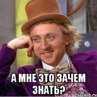 ЦРУ «уволило» лабрадора, которому было неинтересно искать взрывчатку