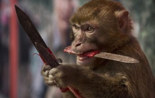 Просто не скучные картинки